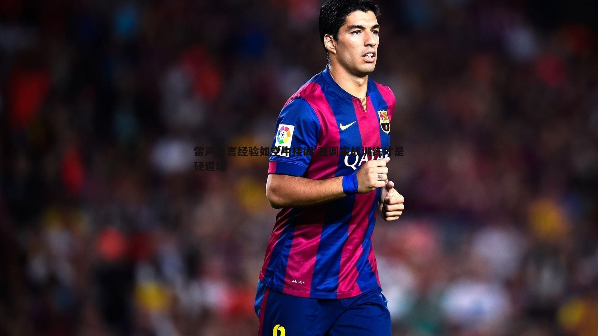 雷声直言经验如空中楼阁 强调实战训练才是硬道理